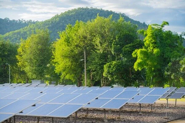"Net Metering" and "Net Billing": Clean Energy Options and the Equity Question