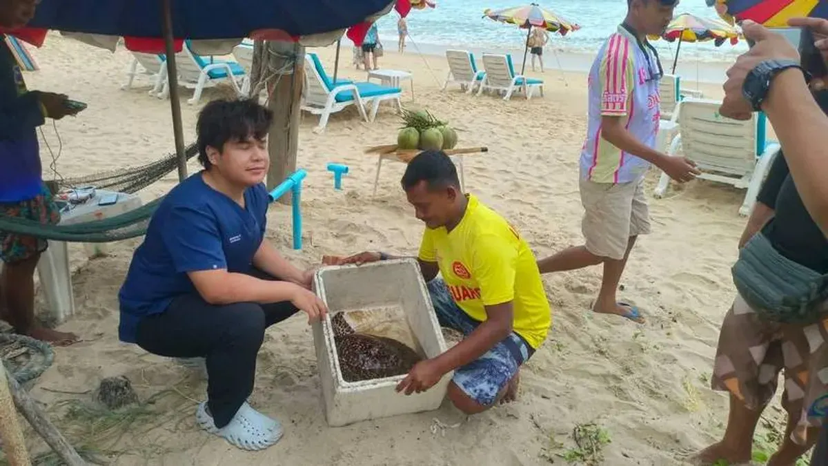 Lifeguards Free Hawksbill Turtle From Fishing Net