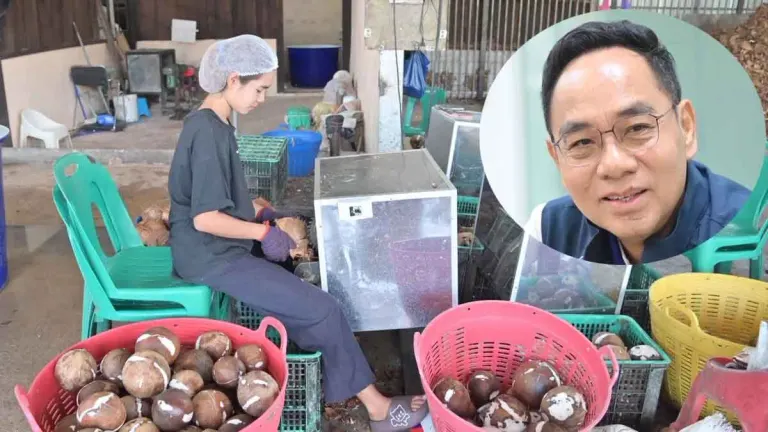 Commerce Ministry Mobilizes Major Buyers to Support Coconut Farmers