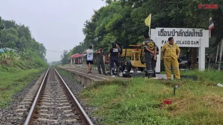 Husband in Shock as Wife Goes Missing Mysteriously; Found Dead After Being Hit by Train