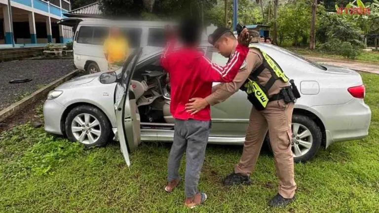 Highway Police Arrest Car Thief After Cross-Province Spree