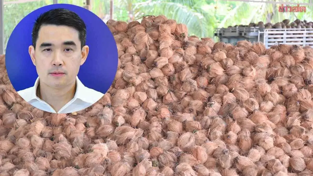 Thailand Allocates 90 Million Baht to Buy 20 Million Coconuts