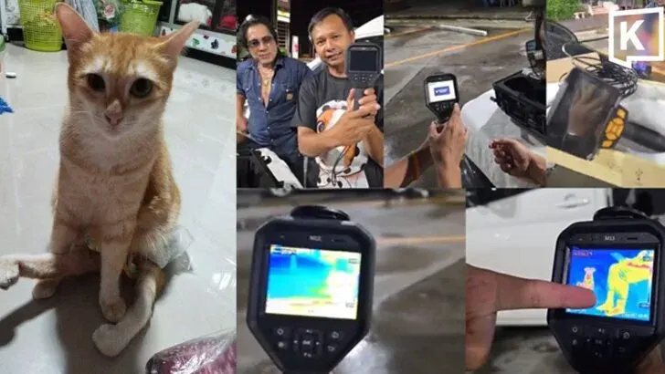 Disabled Cat Search Enters Day 16 at Chumphon Station