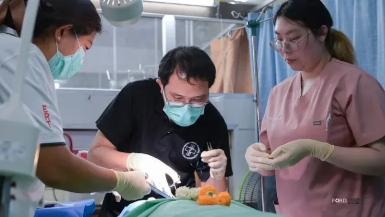 Phuket Man's Organ Donation Saves Eight Lives