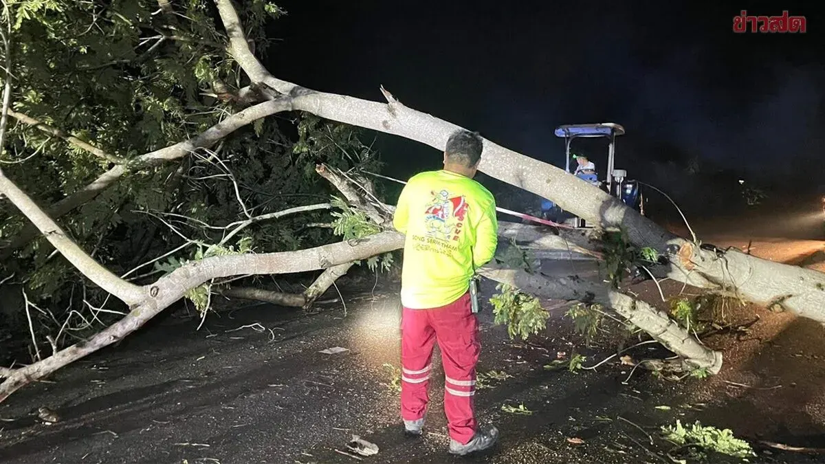 Severe Storm Batters Udon Thani, Felled Trees Block Roads; 42-Year-Old Motorcyclist Fatally Injured After Striking Fallen Tree in Darkness