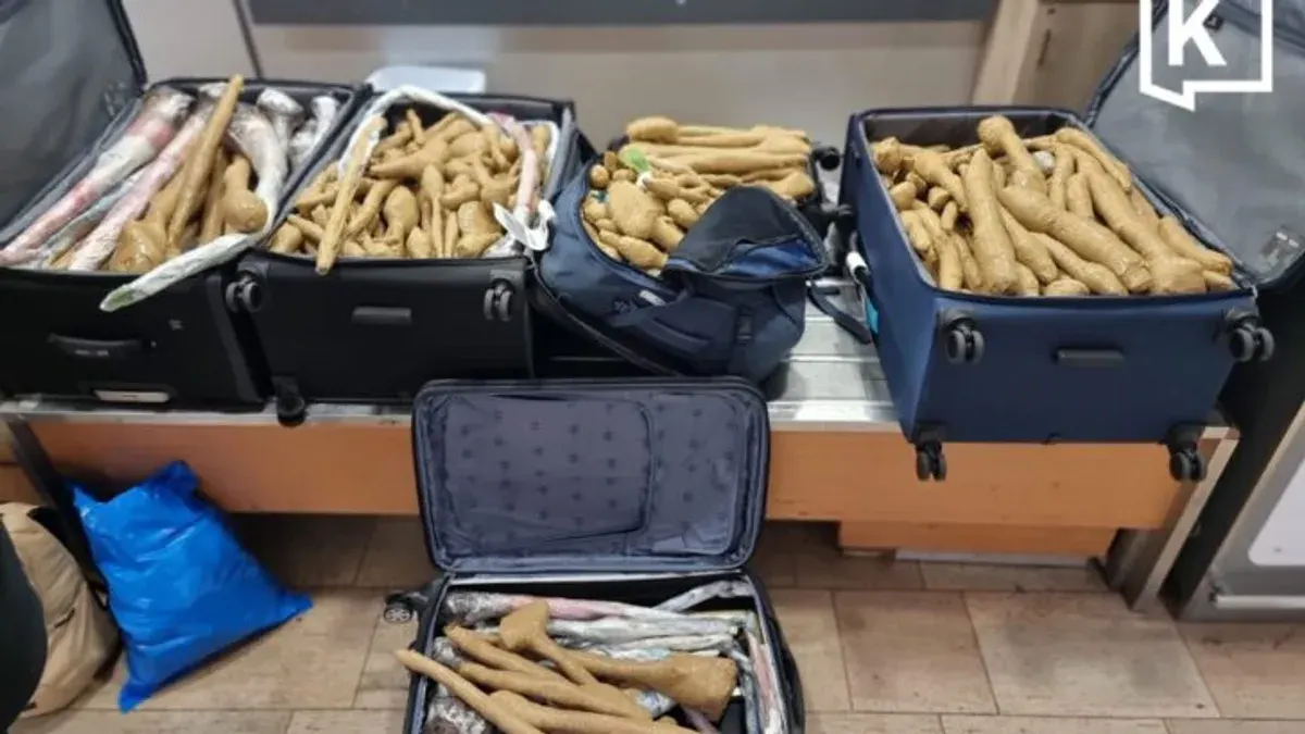 Israeli Doctor Charged with Smuggling Thai Plants