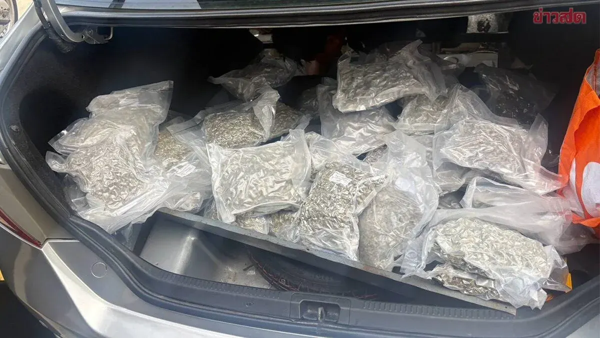 Customs Arrest Malaysian Man Trying to Smuggle 20kg Cannabis