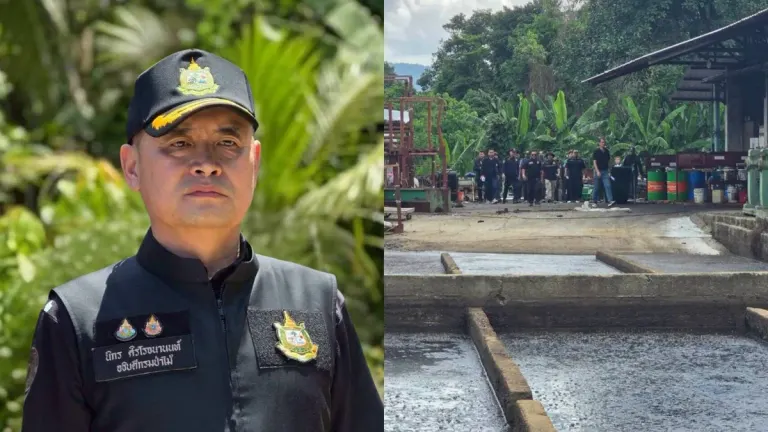 Forestry Department Raids Rubber Company in Songkhla Protected Zone