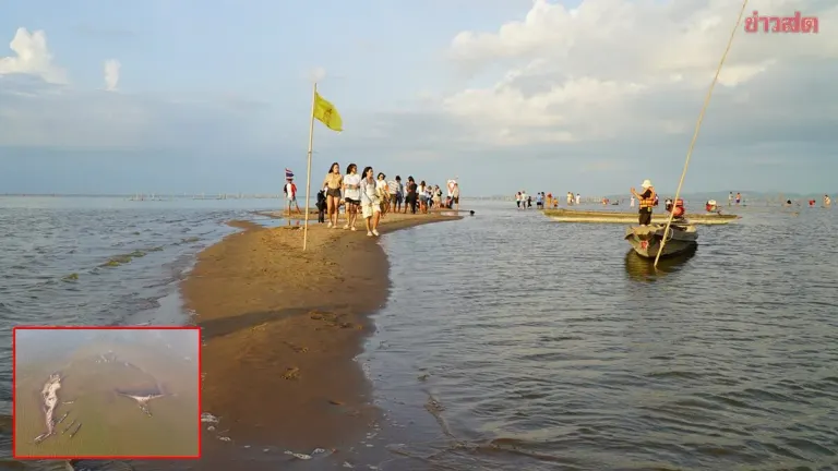 Dragon's Back Sand Bar Emerges in Songkhla Lake