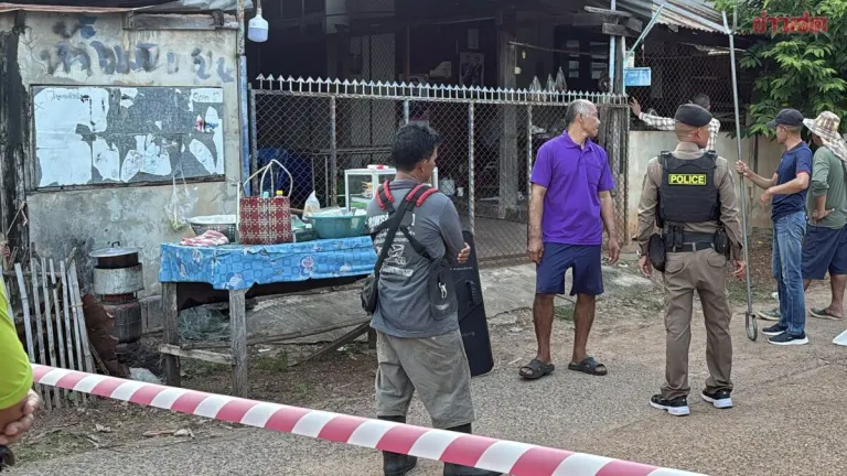 Woman Stabbed to Death by Mentally Ill Relative in Village