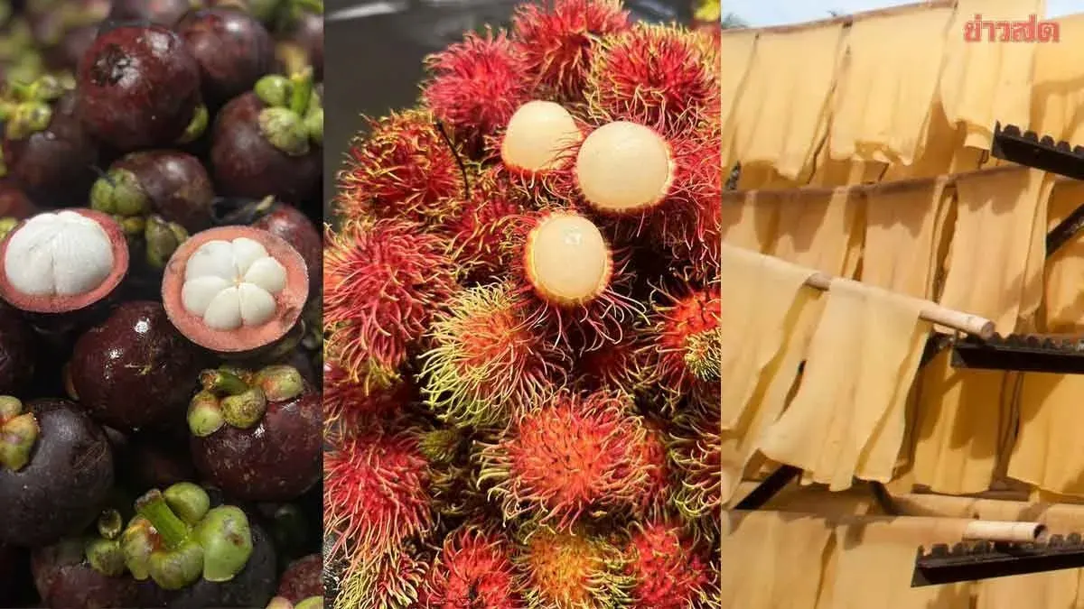 Agriculture Ministry Monitors 20 Commodities Amid Volatile Output