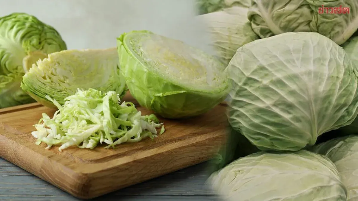 Japanese Vegetable Expert's Trick: Keep Cabbage Fresh for Weeks in Just 10 Seconds