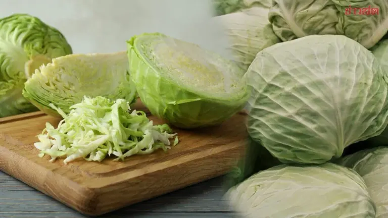 Japanese Vegetable Expert's Trick: Keep Cabbage Fresh for Weeks in Just 10 Seconds