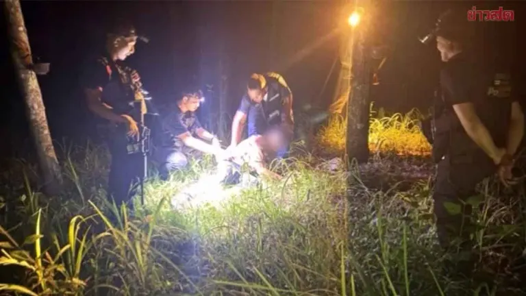 Drug-Crazed Man Stabs Mother with Infant Daughter