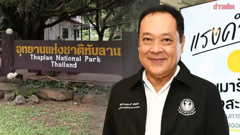 Land Amnesty Bill Excludes Forest Arsonists, Protects Victims
