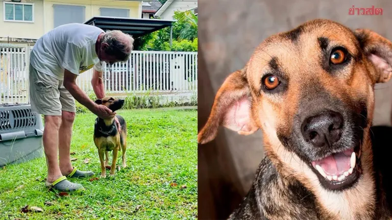 Dog Waits Five Years, Finally Finds Forever Home