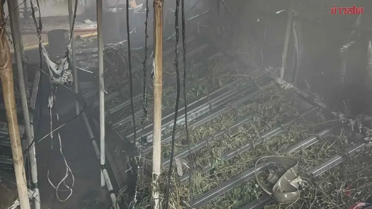 Fire Guts Cannabis Farm in Pattaya, Toxic Smoke Blankets Area