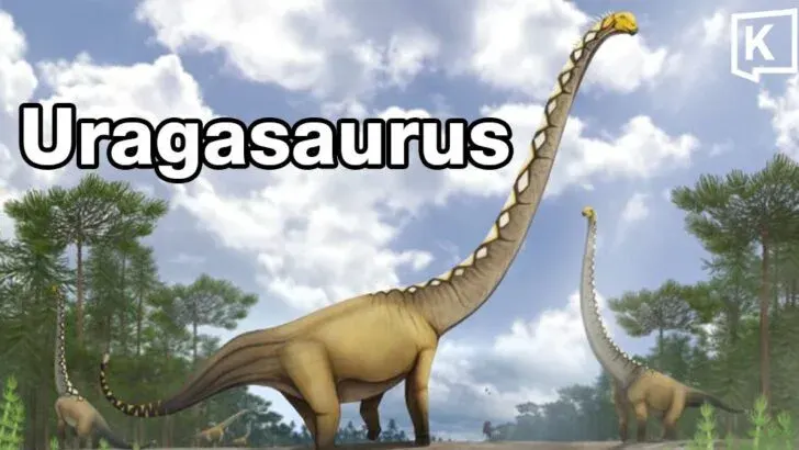 Thailand Discovers New Long-Necked Dinosaur Species