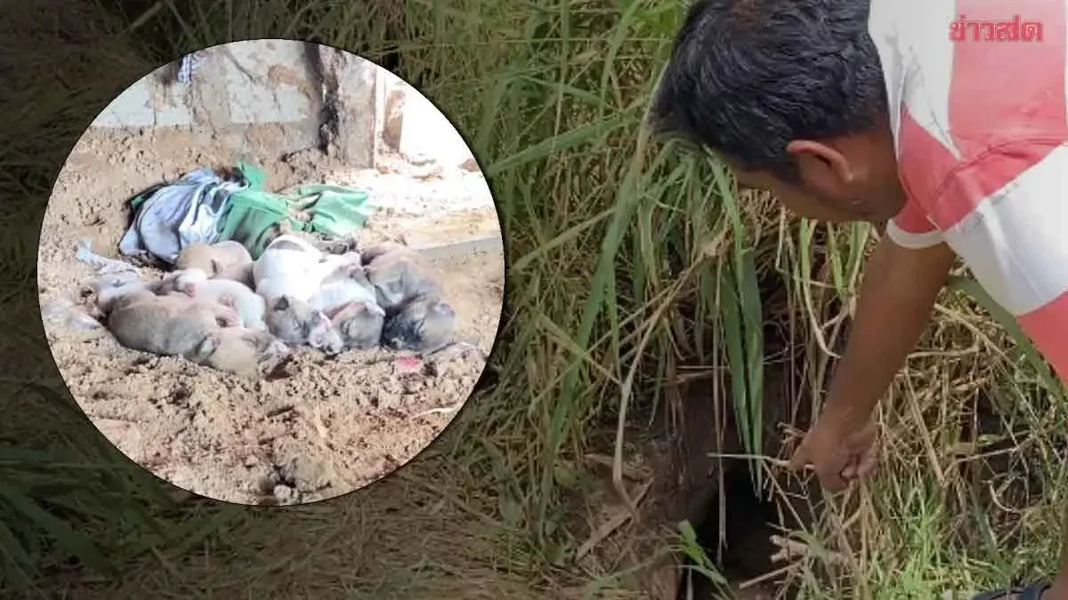 Man Dies Rescuing Newborn Puppies From Collapsed Burrow