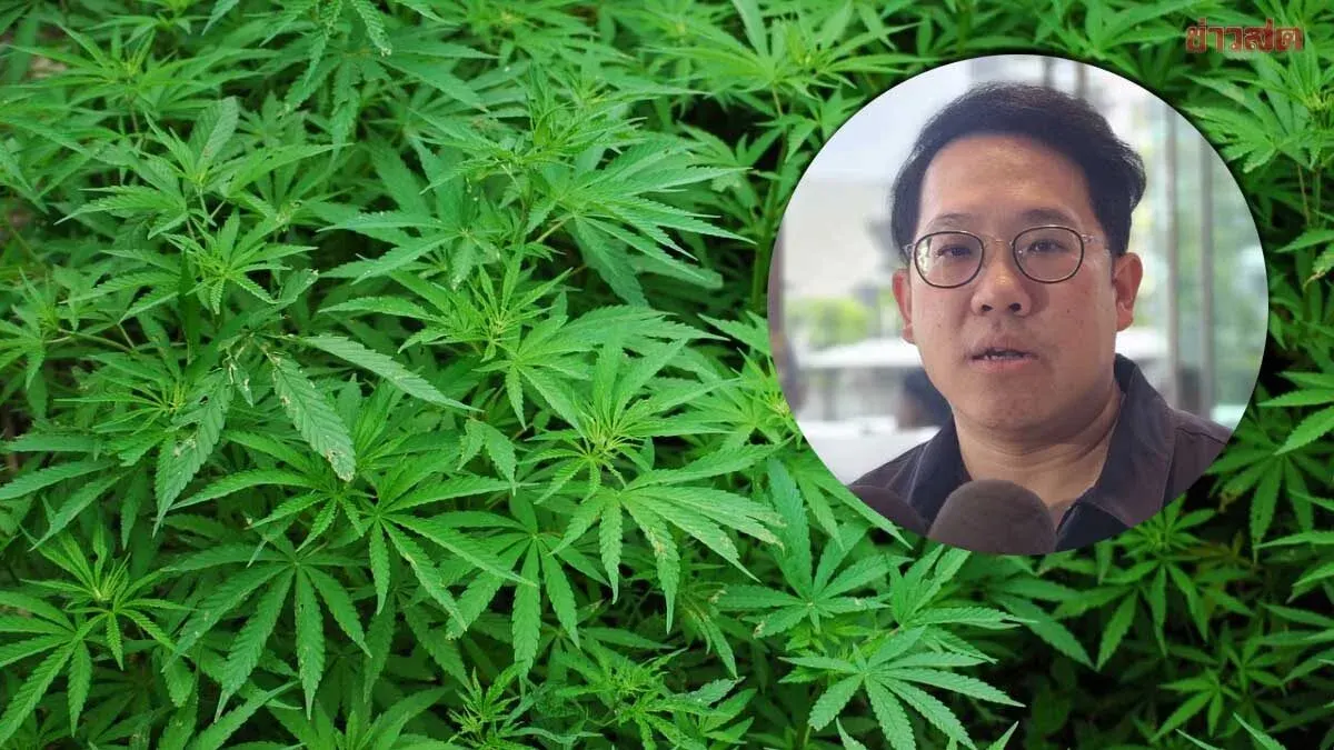 Thailand Cracks Down on Unlicensed Cannabis Shops