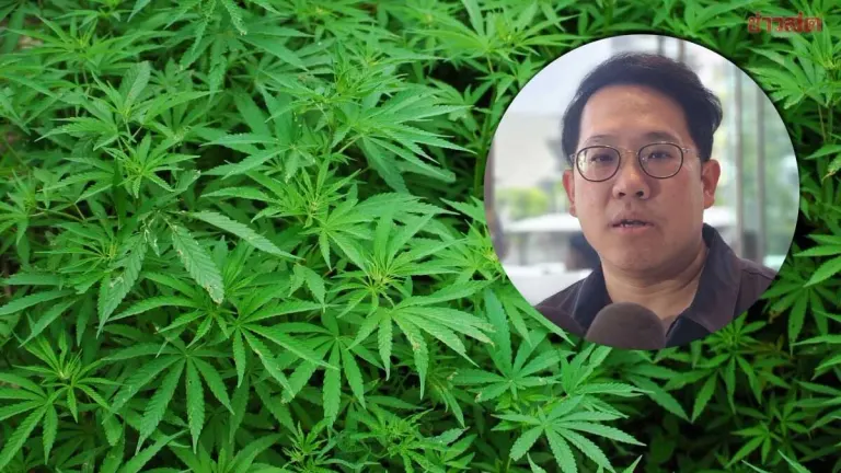 Thailand Cracks Down on Unlicensed Cannabis Shops