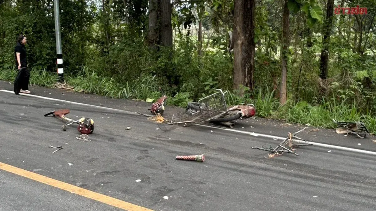Tragic Road Accident: Sidecar Motorcycle Collides Head-On with 18-Wheel Truck, One Dead