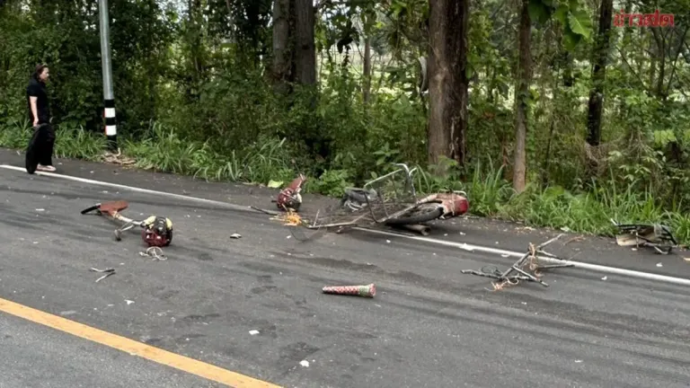 Tragic Road Accident: Sidecar Motorcycle Collides Head-On with 18-Wheel Truck, One Dead