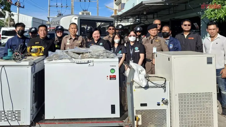 Vietnamese Gang Busted Running Illegal Cannabis Extraction Lab