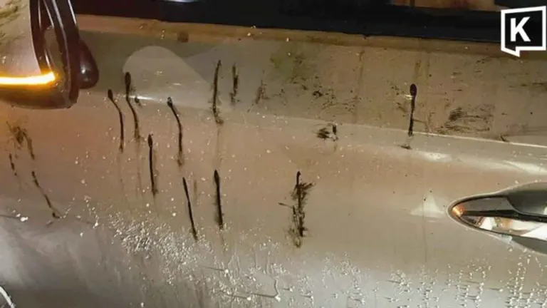 Seventy-Three Drivers Hit by Falling Asphalt on Rama 9 Road