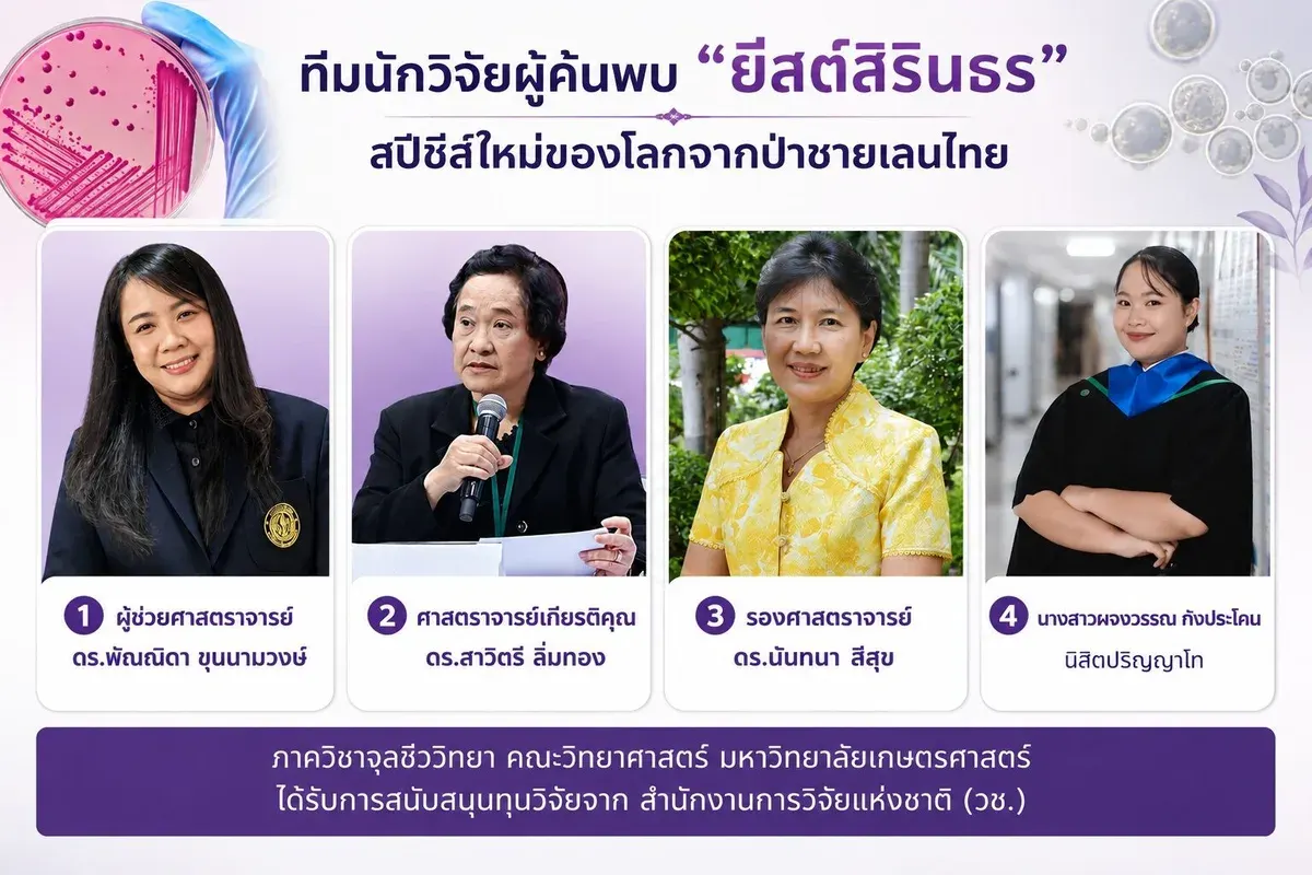 Kasetsart University Researchers Discover New Yeast Species