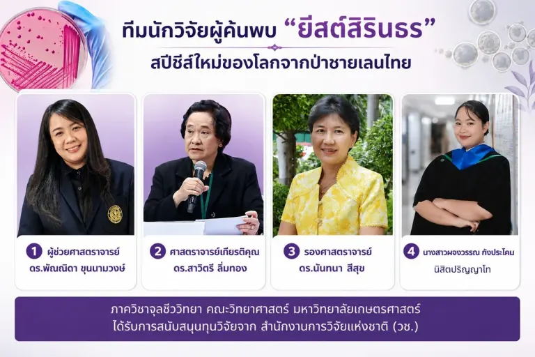 Kasetsart University Researchers Discover New Yeast Species