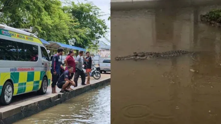 Student's AI-Generated Crocodile Photo Triggers School Search