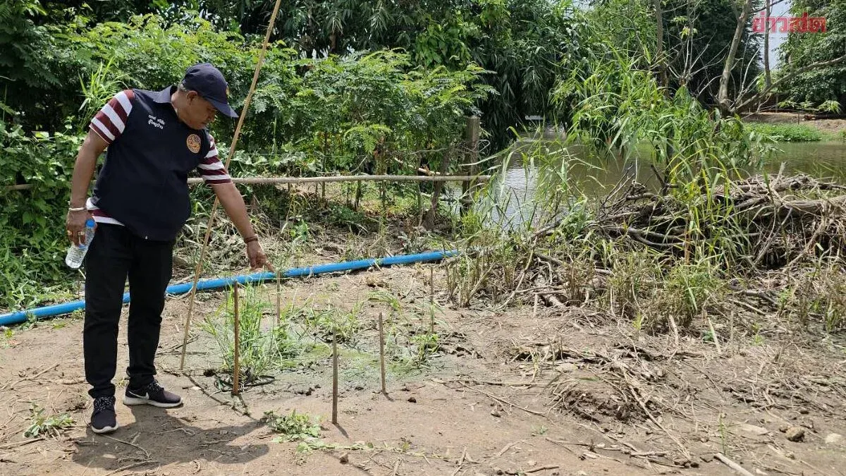 Crocodile Seen in Lopburi River, Officials Warn Residents
