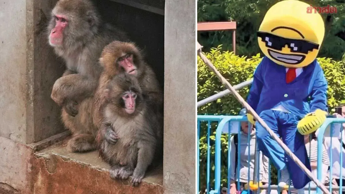 Japan Charges Two American Men: One Climbed Fence into 'Punch Kung' Enclosure, Other Filmed Video