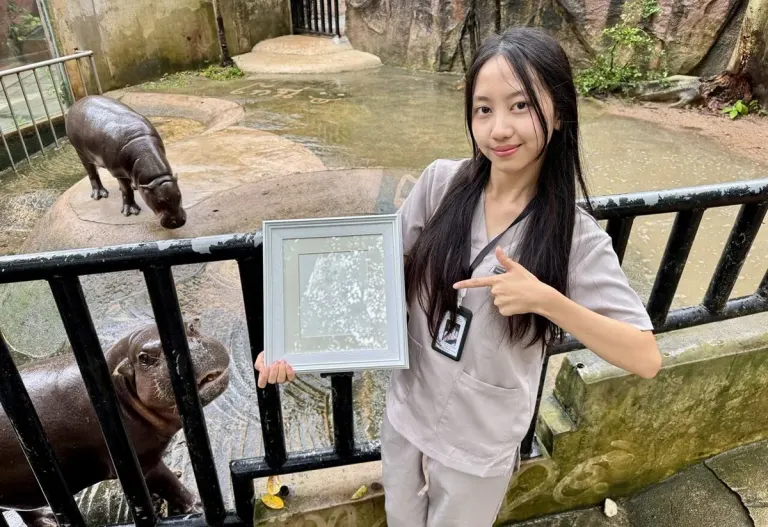 Khao Khiao Zoo Launches Moo Deng Tail Print Collectible