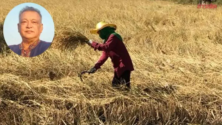 Farmers' Group Opposes Plant Protection Law Amendment