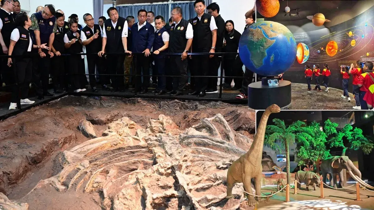 Phun Phin Geology Museum Opens With 4.6 Billion Years of Earth History