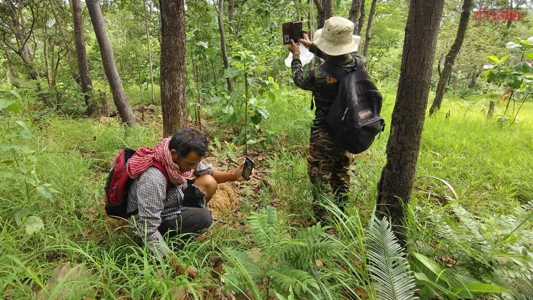 Khao Yai Park Requires Permits for Forest Foraging