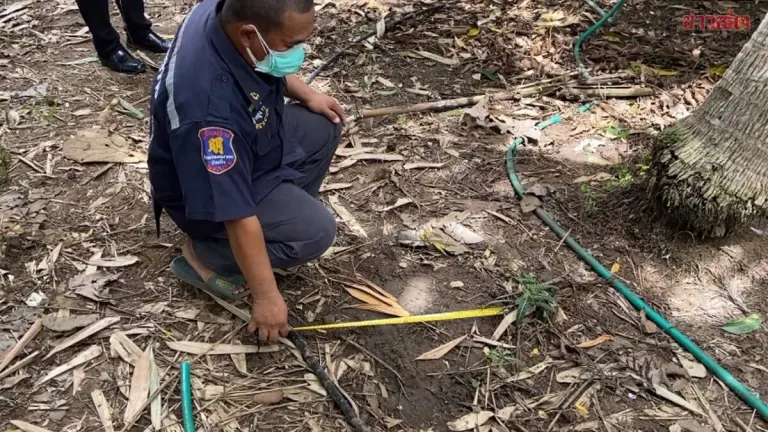Man Found Dead After Wild Elephant Attack at Home
