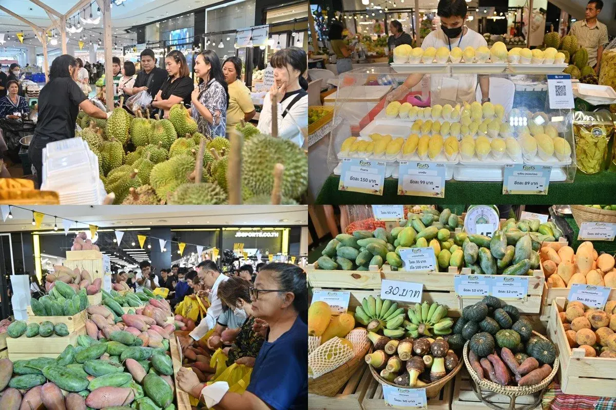Commerce Ministry Launches Fruits Festival 2026, Bringing Premium Durian Varieties to Central Westgate