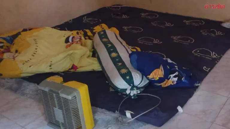 Grandmother Accuses Teenage Grandson of Sexual Assault