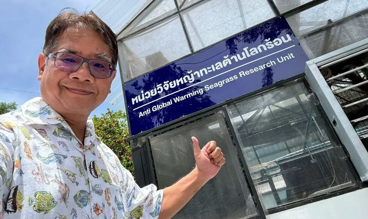 Kasetsart University Unlocks Solution to Revive Thai Seas with 'KU-SST' Technology, Successfully Transplants Seagrass to New Areas for First Time