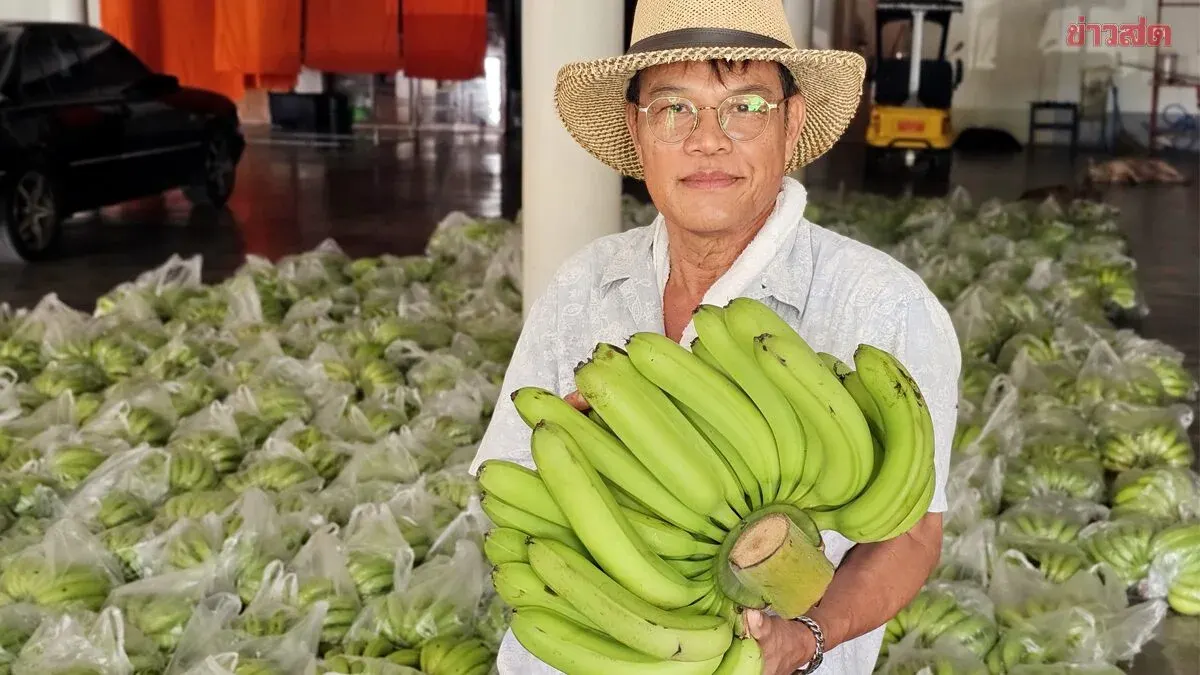 Donate 50 Baht and Receive Premium Japanese Export Bananas at Renowned Temple on National Labor Day