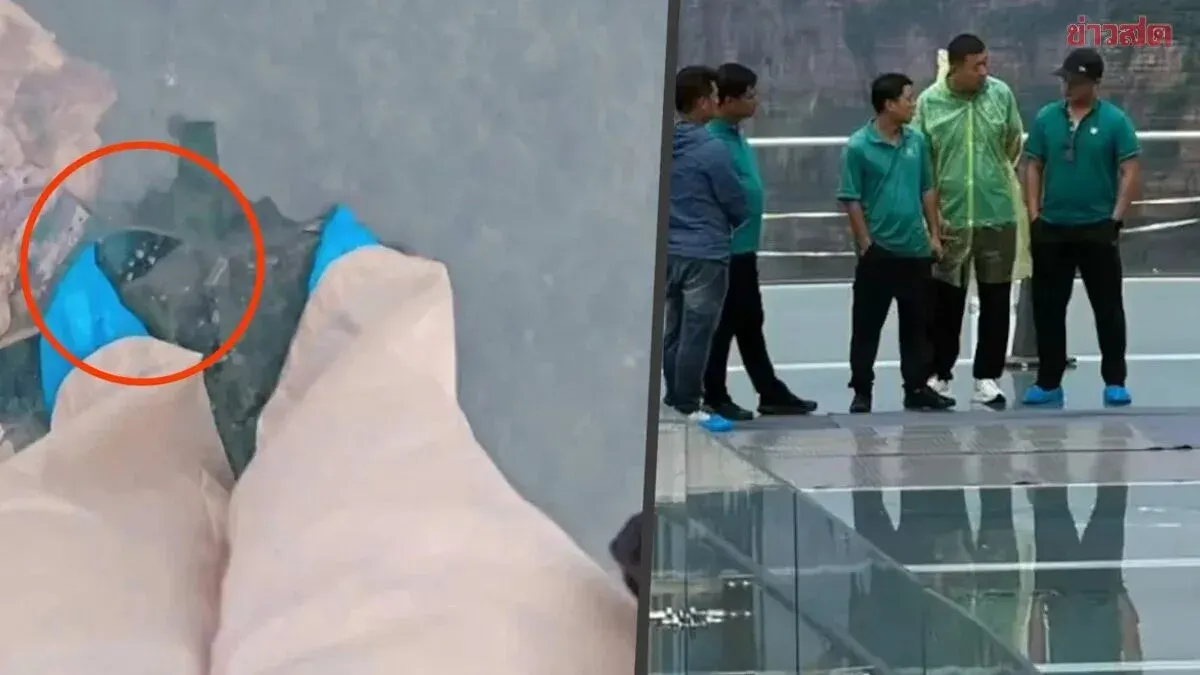 Alarming Incident: Chinese Child Cracks Glass Floor at 5A Scenic Viewpoint Using Umbrella, Triggers Safety Standard Review