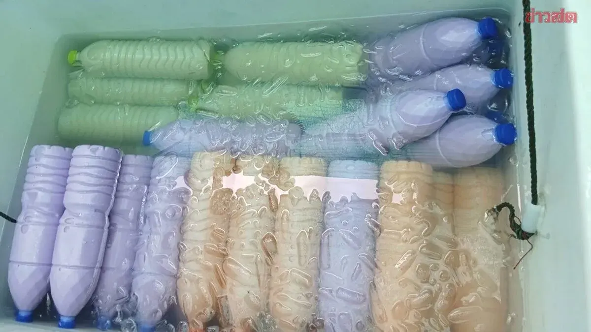 Si Sa Ket Cracks Down on Three Kratom Juice Shops Brazenly Selling Near Schools with Flavored Formulas Targeting Youth