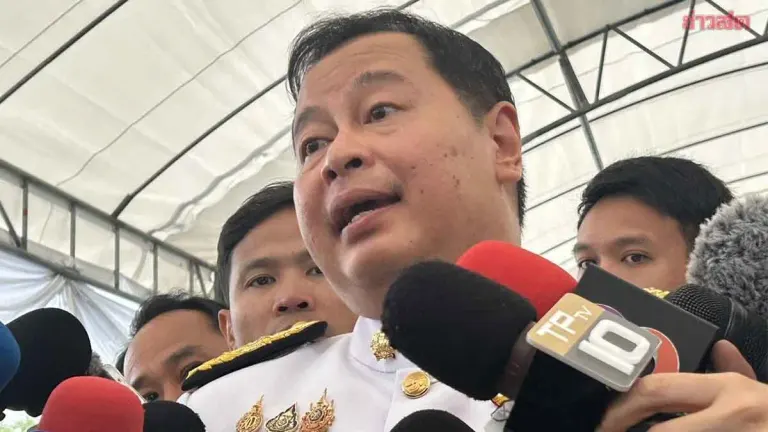 Deputy PM Seeks Stricter Gun Laws Using Foreign Model