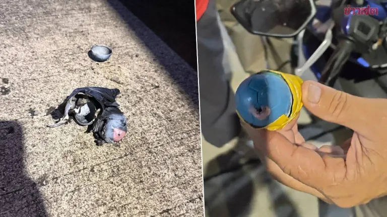 Gang of Teens Hurls Firecrackers at Bangkok Community