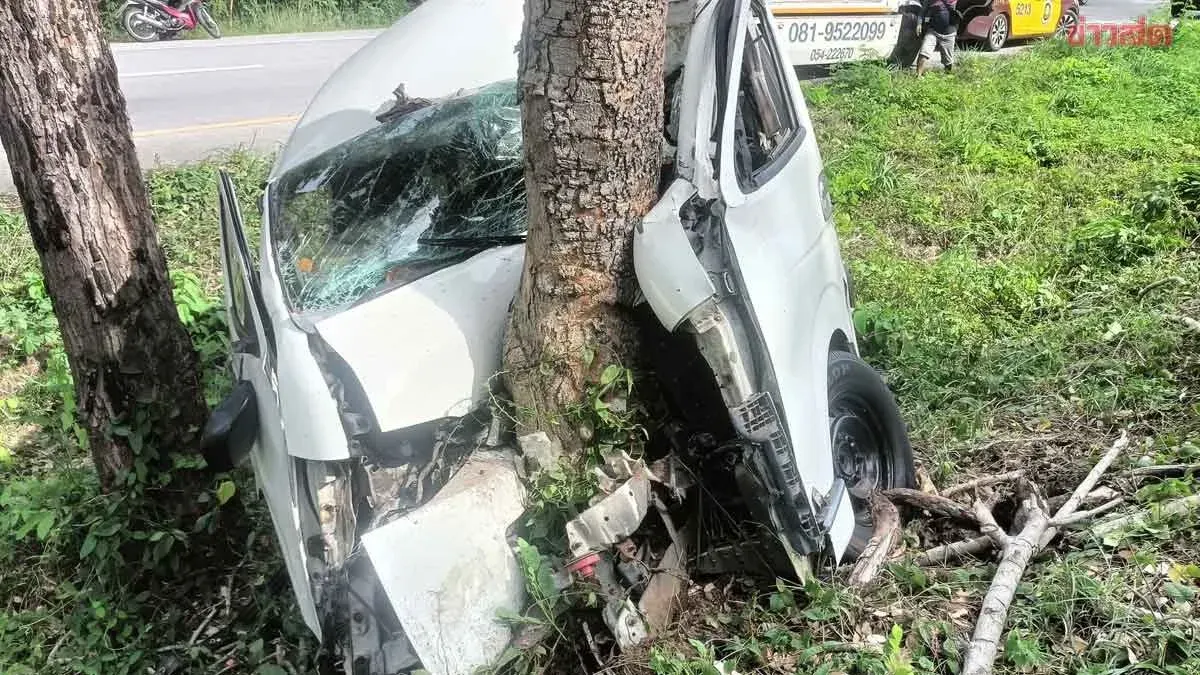 Sleepy Driver Crashes Van Into Tree At 143 kph