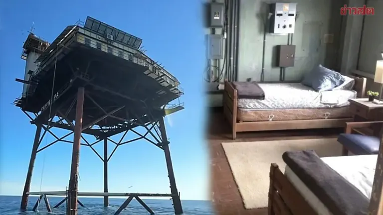 Tourists Book Shark-Surrounded Tower Hotel at 6,700 Baht Per Night