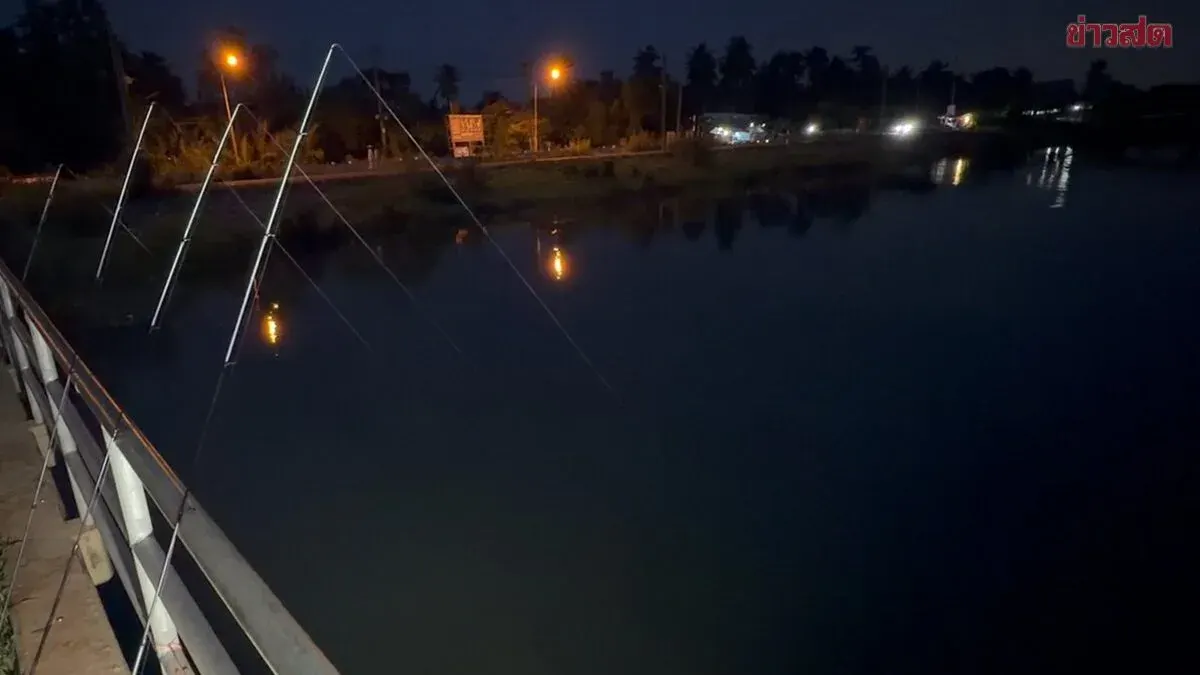 Professional Fisherman Challenges Crocodile Warning With Cash Prize